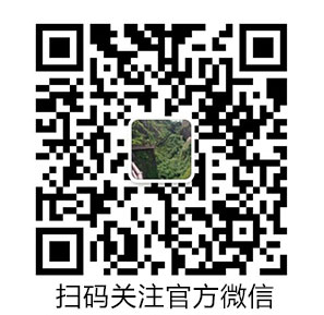 �����Pע΢��